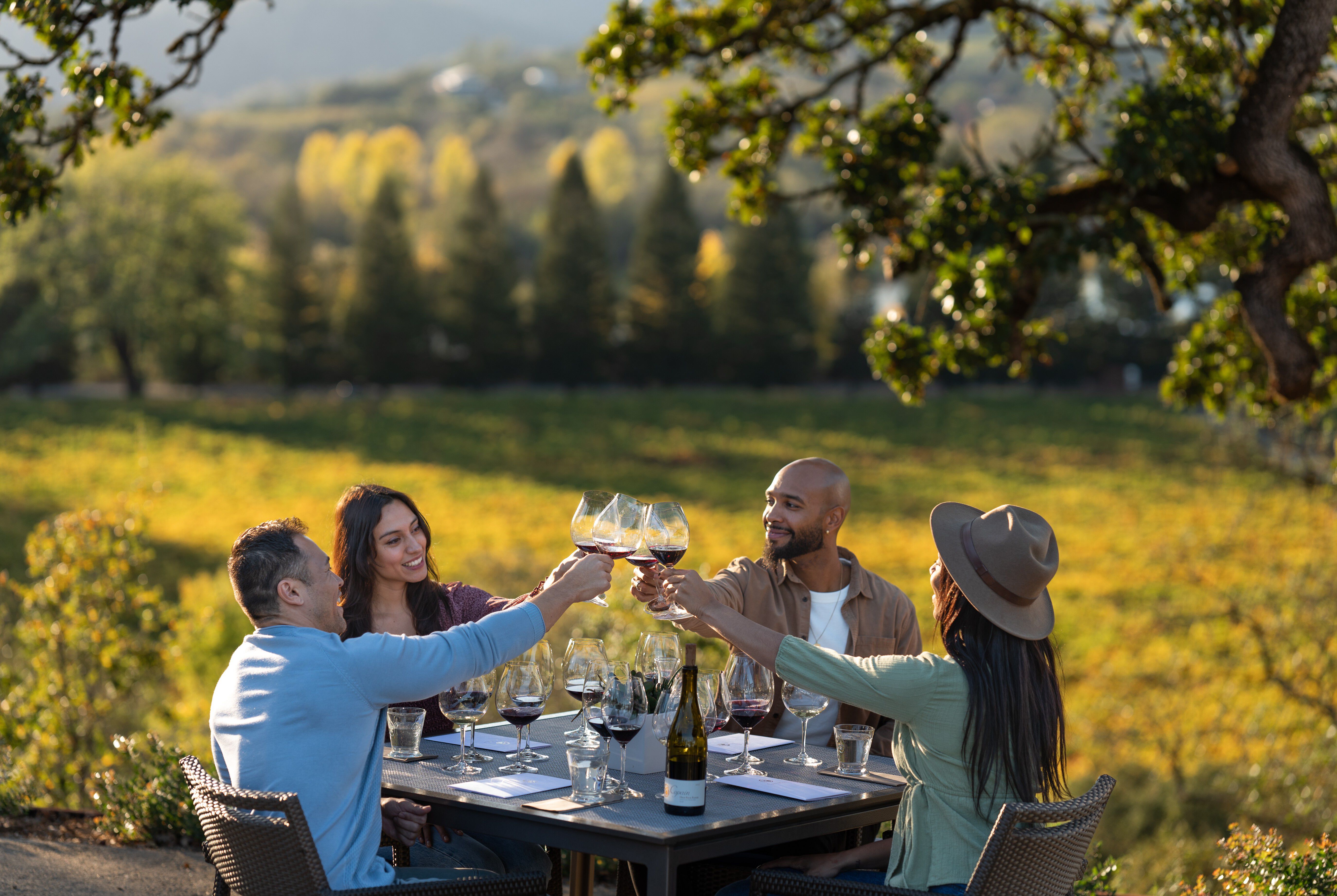 copain single vineyard flight 