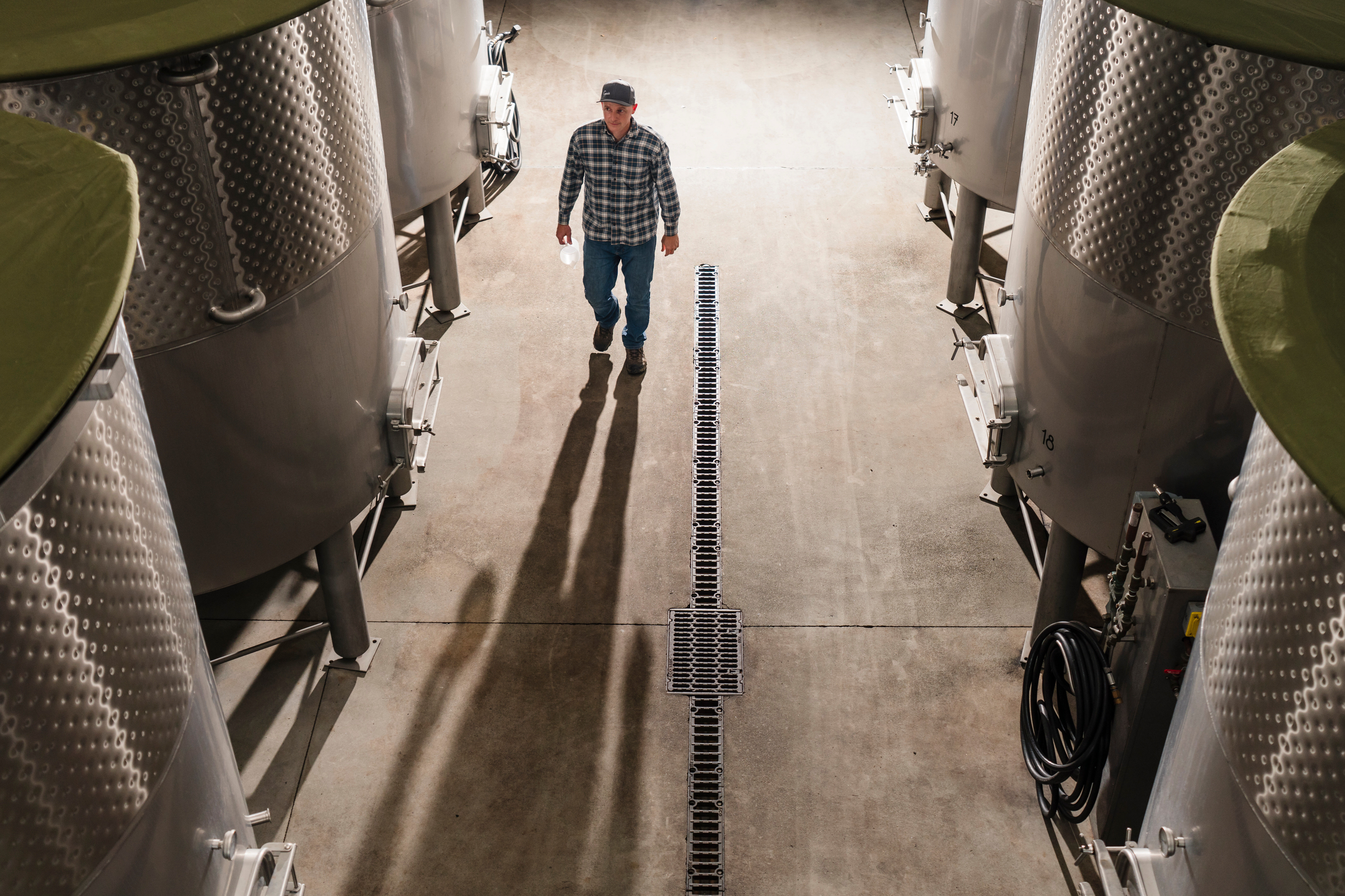 Winemaker in the cellar