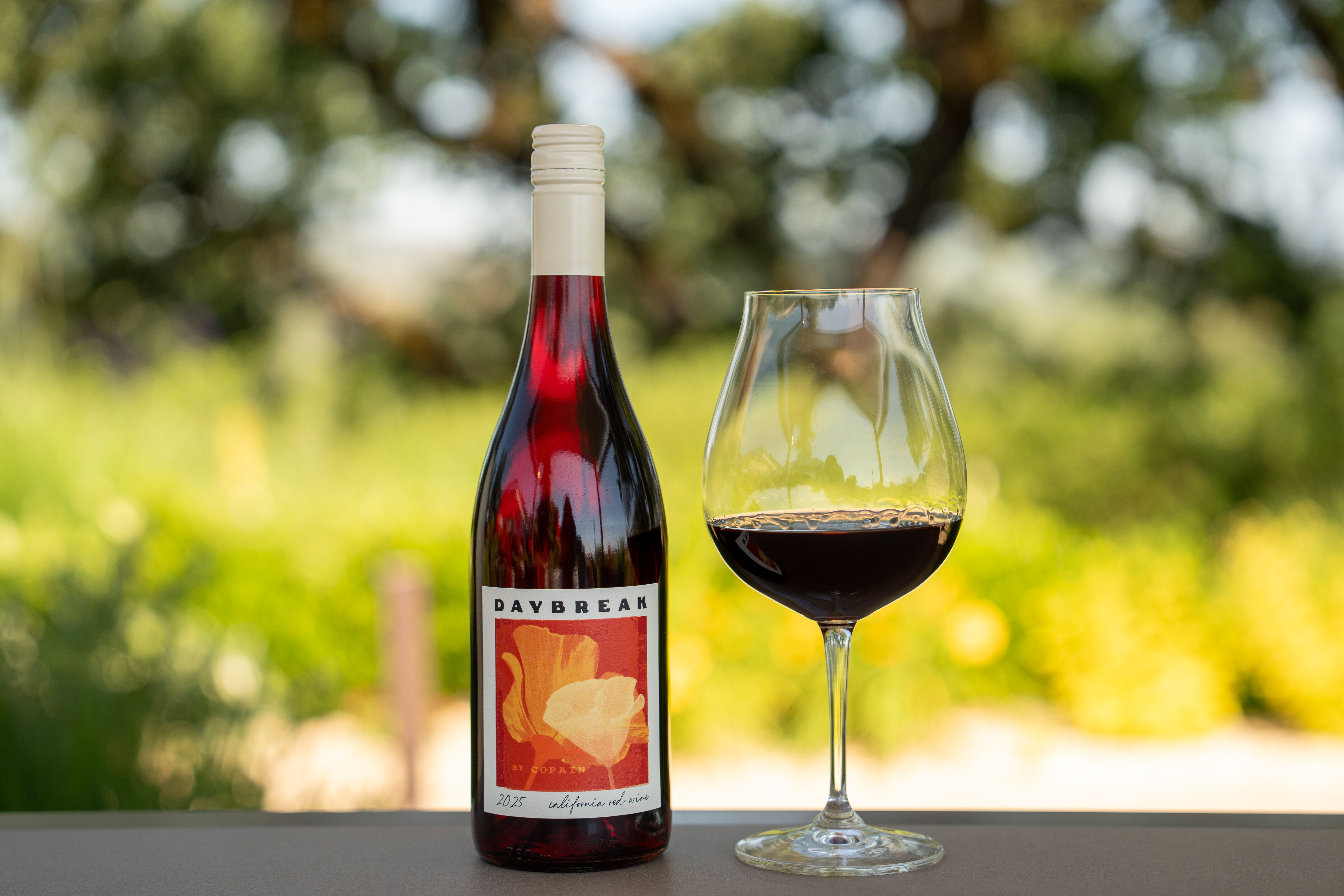 copain wine tasting