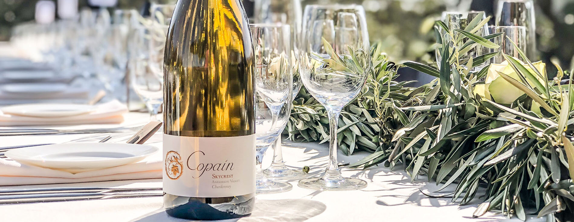 a bottle of Copain wine on a table with olive branches in the background