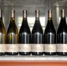 Six bottles of copain wine