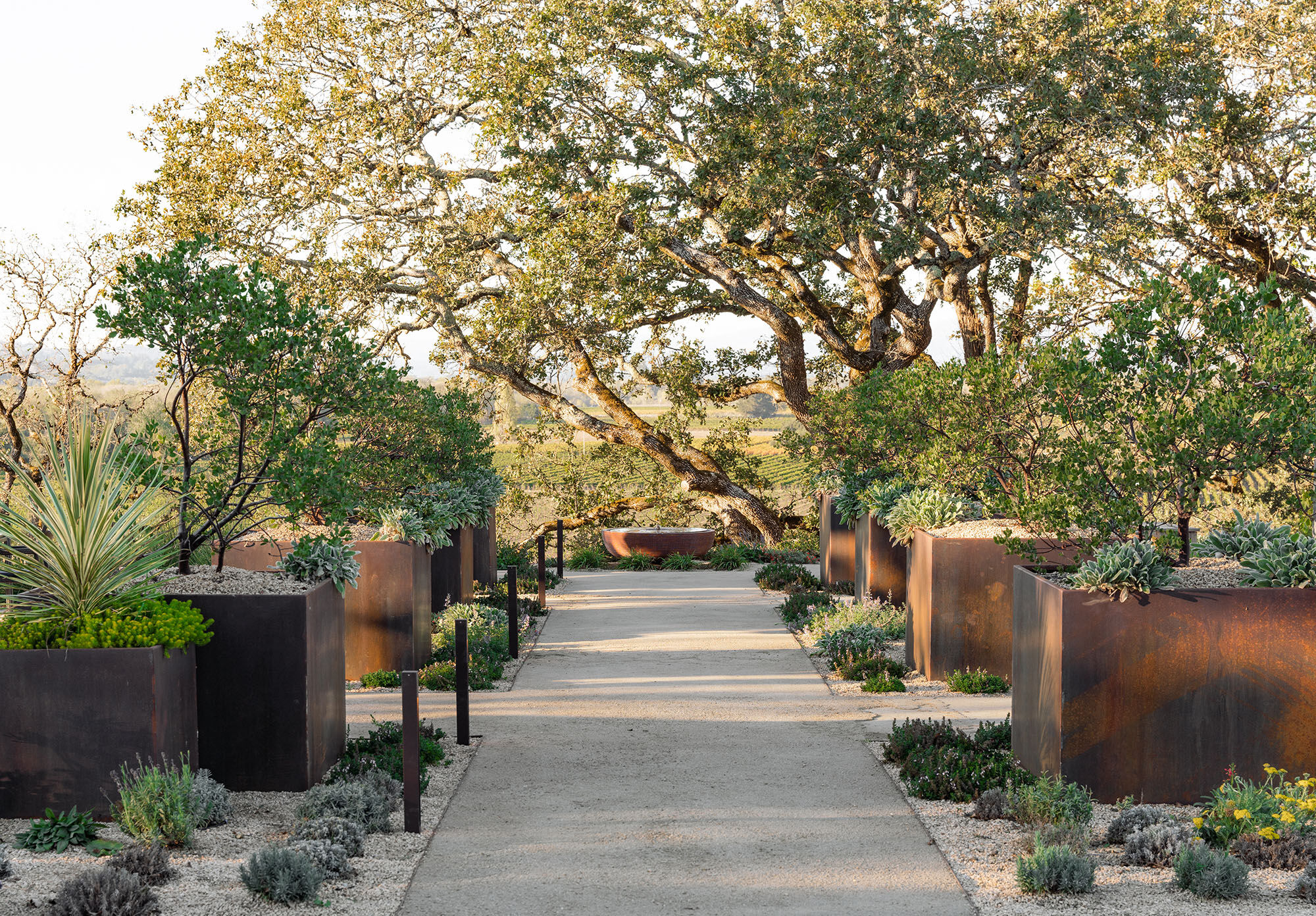 Copain Wine and Wellness Event Copain Wine and Wellness Event