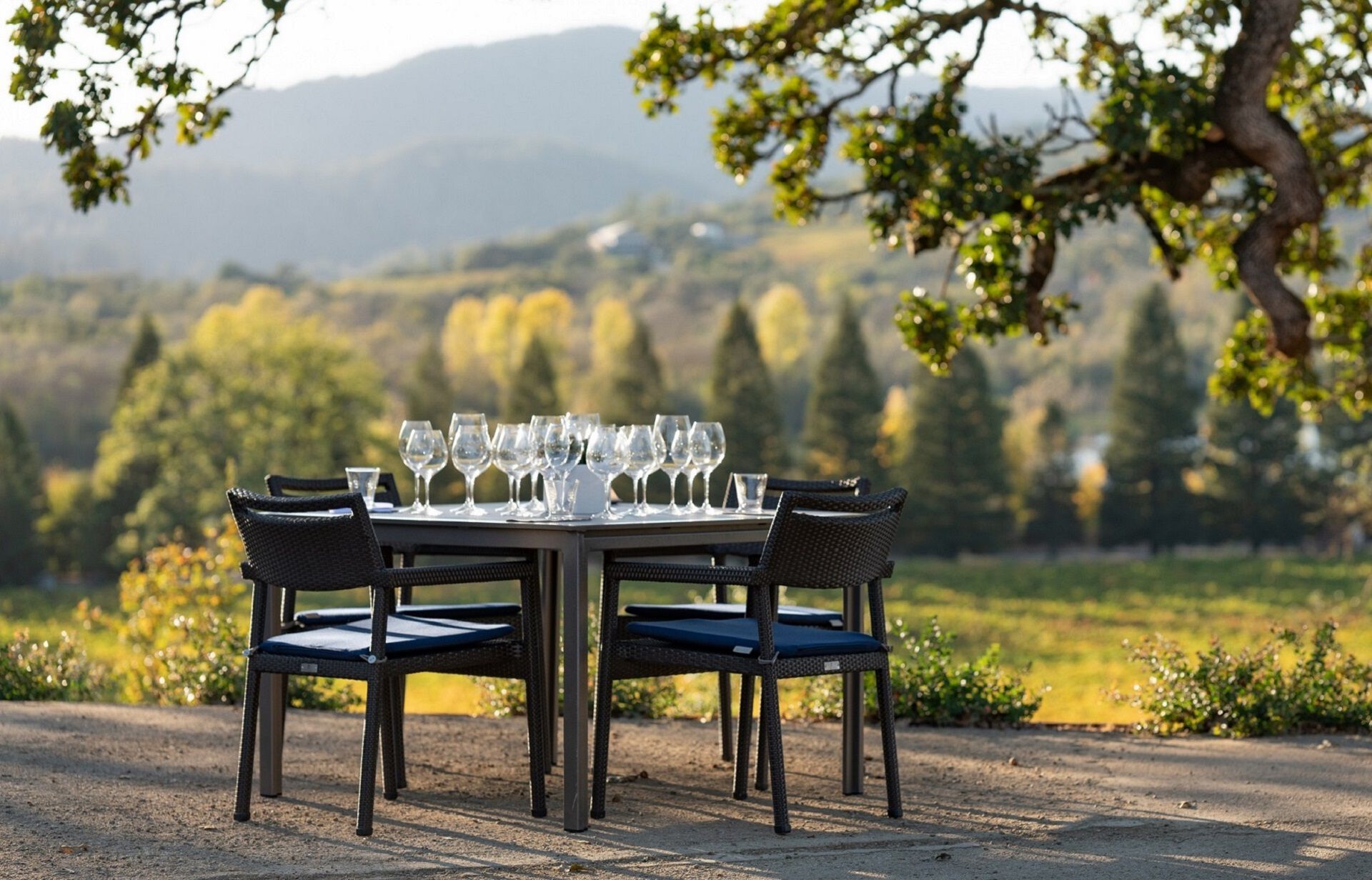 A table set up on the Copain Estate with the rolling hills in the background.