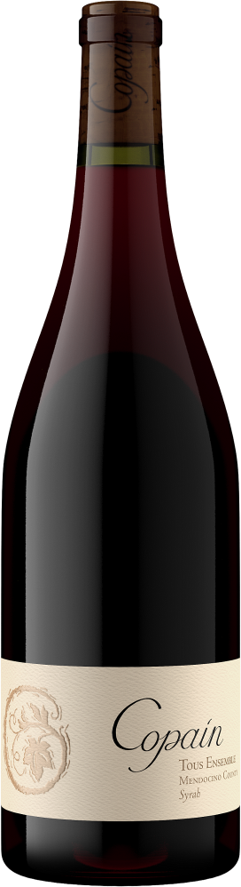 Tous Ensemble Syrah