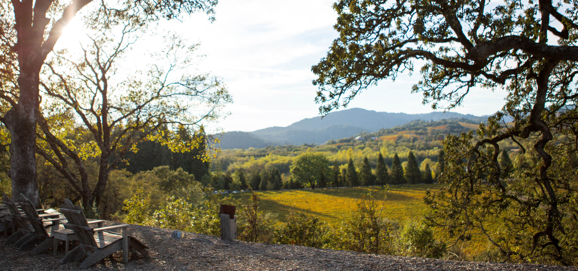 A view from the Copain Estate Tasting Room looking down the hill.